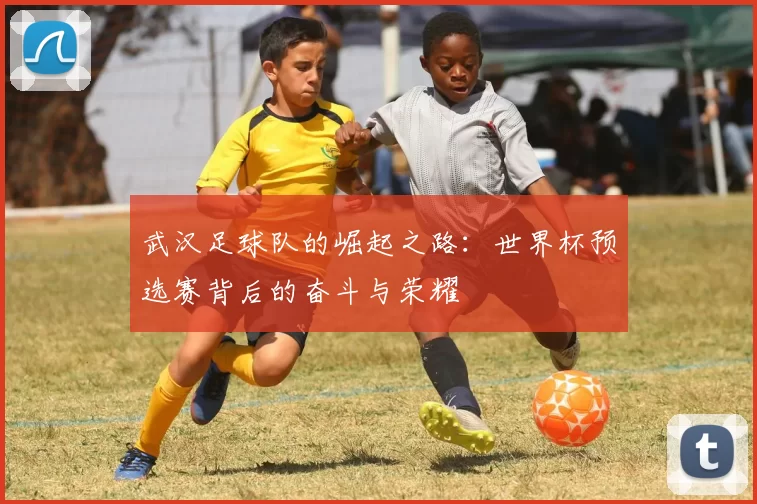 武汉足球队的崛起之路：世界杯预选赛背后的奋斗与荣耀