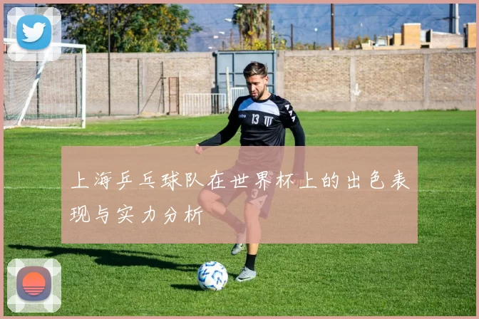 上海乒乓球队在世界杯上的出色表现与实力分析