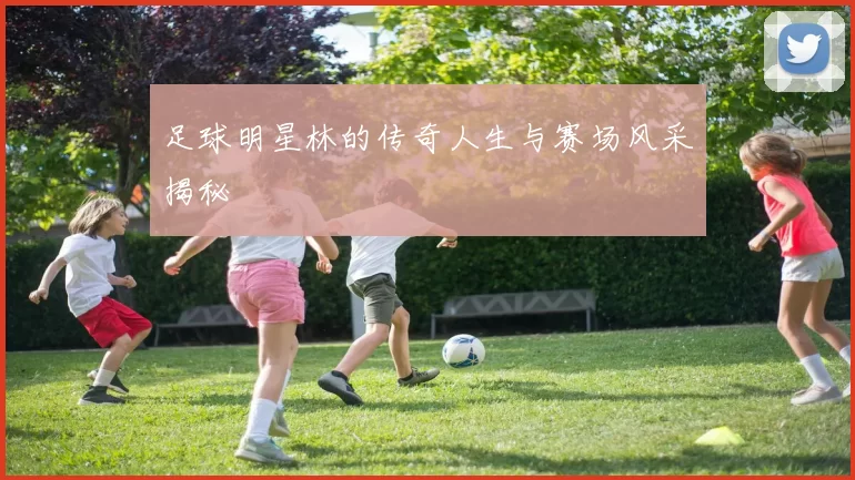 足球明星林的传奇人生与赛场风采揭秘