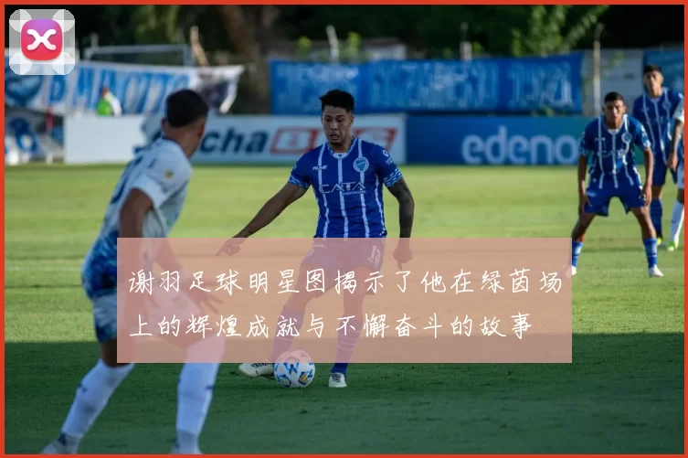 谢羽足球明星图揭示了他在绿茵场上的辉煌成就与不懈奋斗的故事
